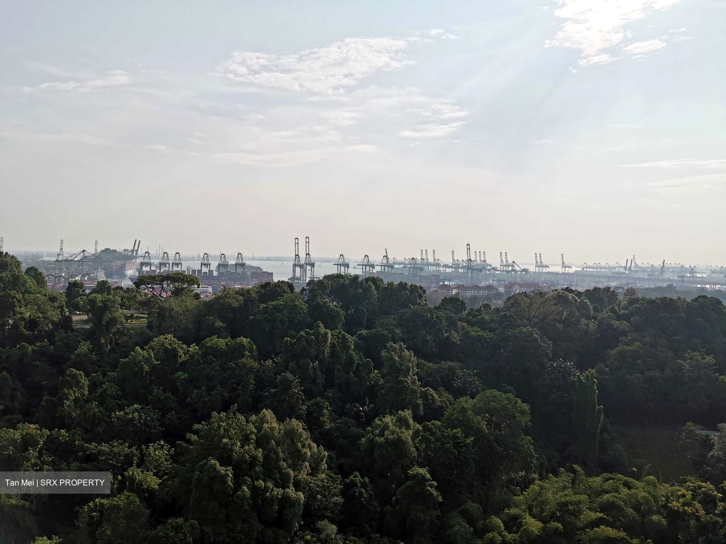 Normanton Park (D5), Apartment #556026201